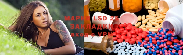 ГАЛЛЮЦИНОГЕННЫЕ ГРИБЫ Алзамай