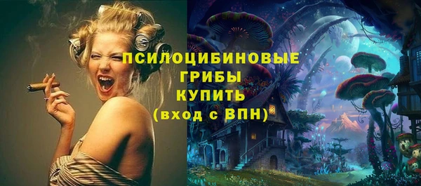 ГАЛЛЮЦИНОГЕННЫЕ ГРИБЫ Алзамай